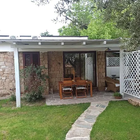 Portico E Ulivo